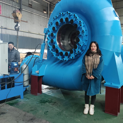 品質  Reliable Water Turbine Generator For Various Speeds And Frequencies 工場