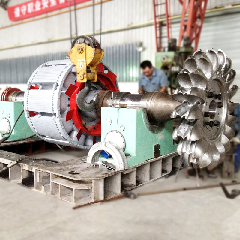 油冷却 ペルトンタービン発電機 鋳鉄体付きペルトンタービン発電機