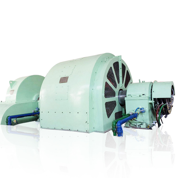 100kW-50MW ステンレス鋼構造のペルトン型タービン発電機