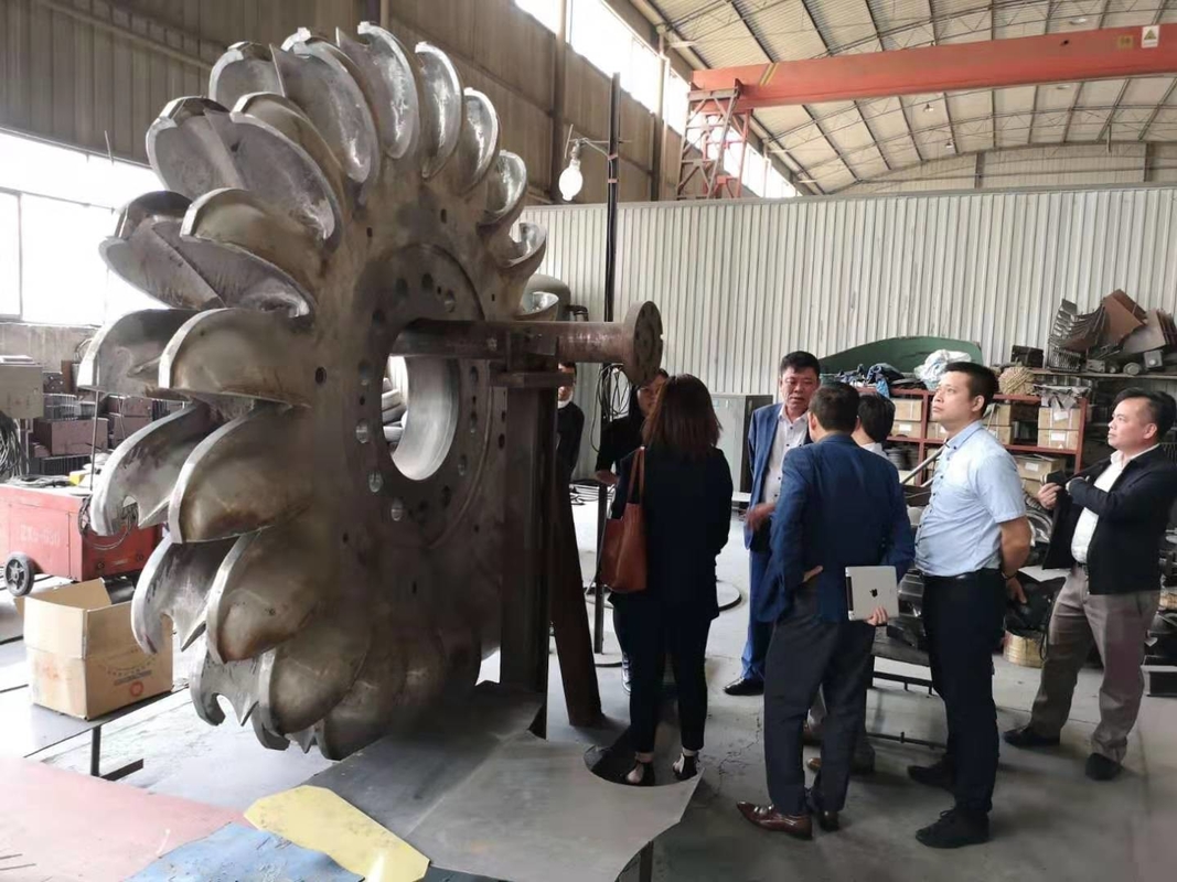 油冷却 ペルトンタービン発電機 鋳鉄体付きペルトンタービン発電機