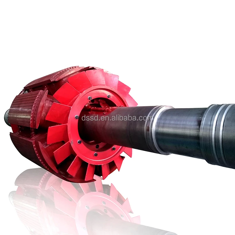 450 - 1000rpm 水力タービン発電機 垂直/水平装置 220V-690V 電圧
