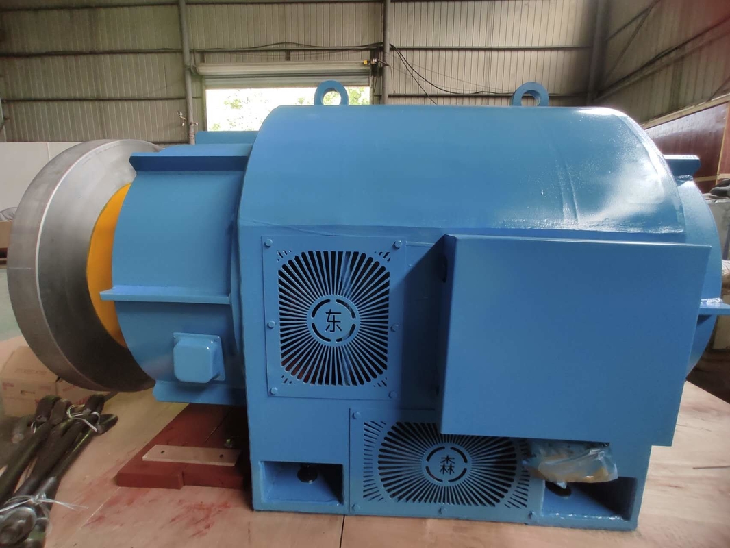 220Vから690Vの電圧を指定した水力タービン発電機