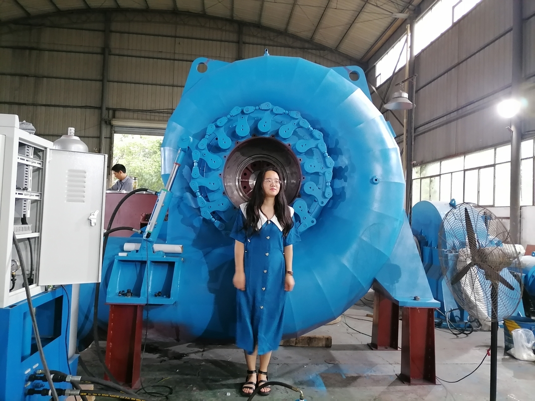 カスタマイズされた色 多様な水タービン発電機
