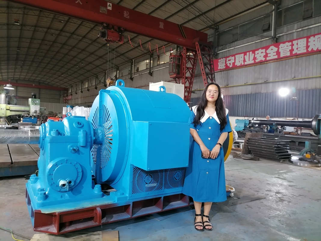 持続可能エネルギー生産のための 220V-690V 電圧水タービン発電機