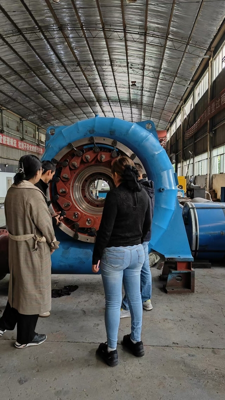 200kw-20mw 水力タービン発電機 垂直/水平 設置 長寿命