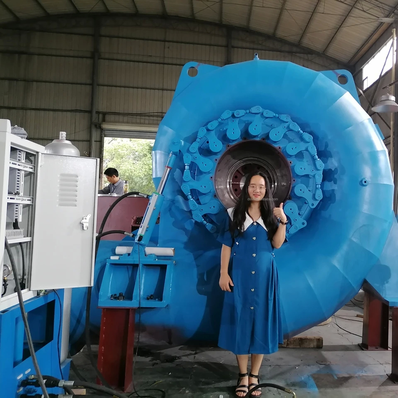 300KW-20MWのフランシスタービン発電機 50Hz/60Hzの周波数と調整可能な電圧