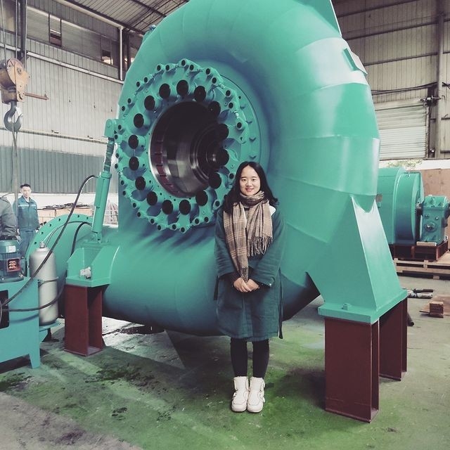 50年 垂直/水平 設置 水力タービン発電機 ブラシレス/静的シリコン