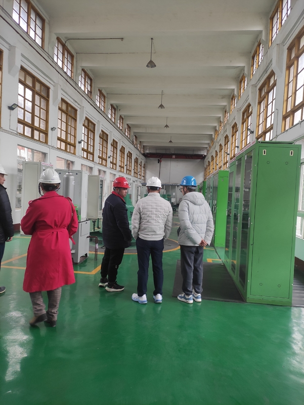 高品質の工場価格 カップラン 水力タービン発電機 低頭電源発電所の水力発電の部品