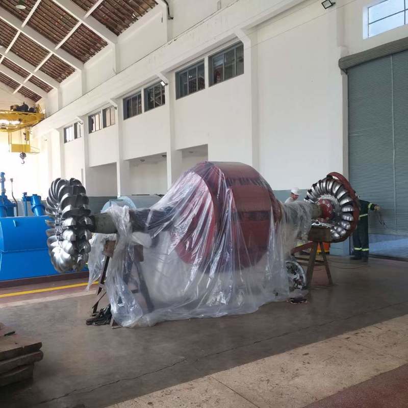 環境に優しいペルトン水車発電機 | 持続可能な電力プロジェクト向け耐久性のある水力発電設備