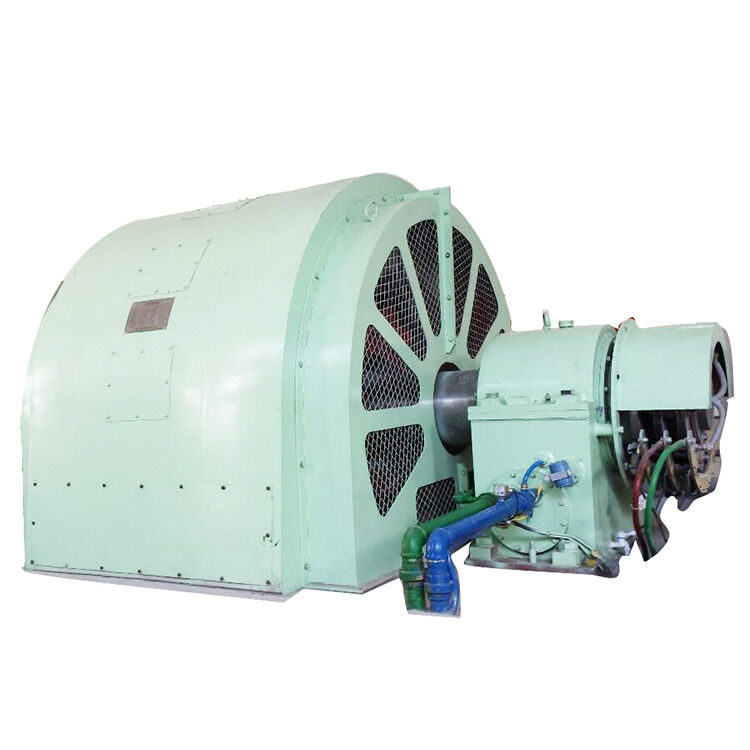 Production Period 6 Months Pelton Wheel Turbine Generator Hydropower Equipment Designed for Renewable Energy Production