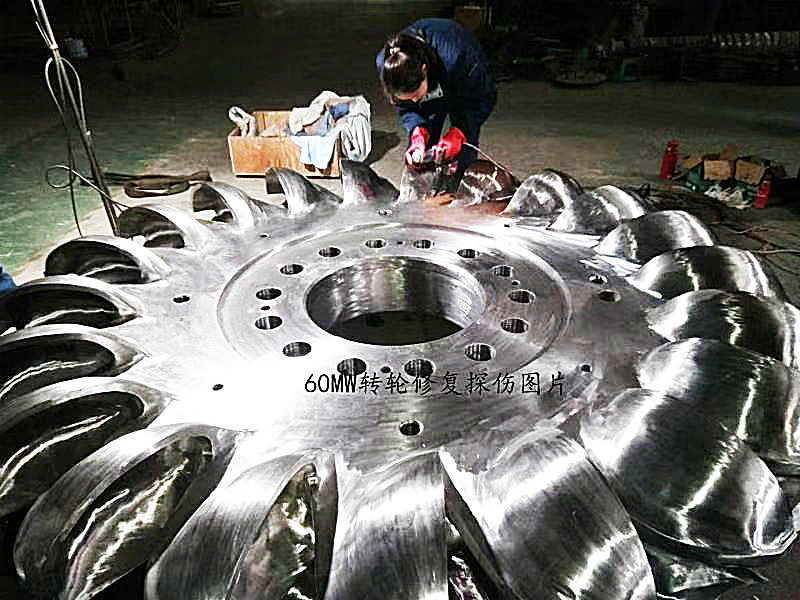 500~3000r/min 速度範囲 ブラシレス刺激モードのペルトン型タービン発電機