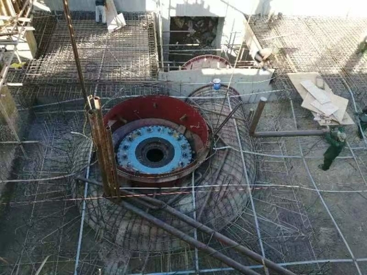 電源発電所 自動 フランシス タービン 発電機 定速 450-1000RPM
