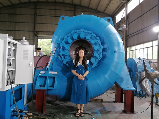 カスタマイズされた色 多様な水タービン発電機