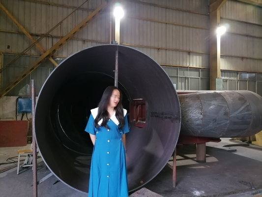 調整可能な速度と周波数を持つ,カスタマイズされた発電水タービン発電機