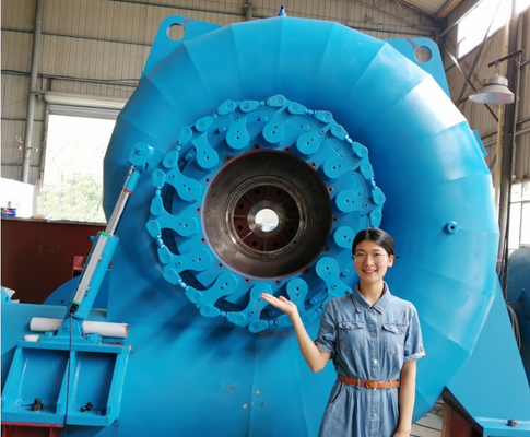 自動手動制御の水力タービン発電機 450-1000 RPM